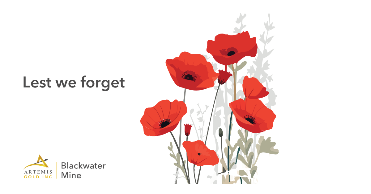 Remembrance Day